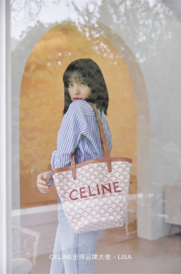 Celine_2020-2022_Collection_28729.jpg