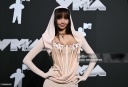 MTV_Video_Music_Awards_-_Arrivals_2024_28729.jpg