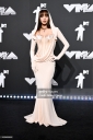 MTV_Video_Music_Awards_-_Arrivals_2024_281029.jpg