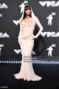 MTV_Video_Music_Awards_-_Arrivals_2024_281829.jpg