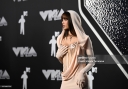 MTV_Video_Music_Awards_-_Arrivals_2024_287229.jpg